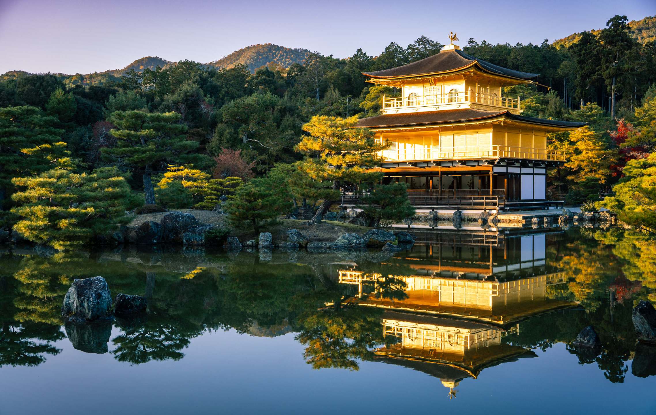 Japan November 2025
